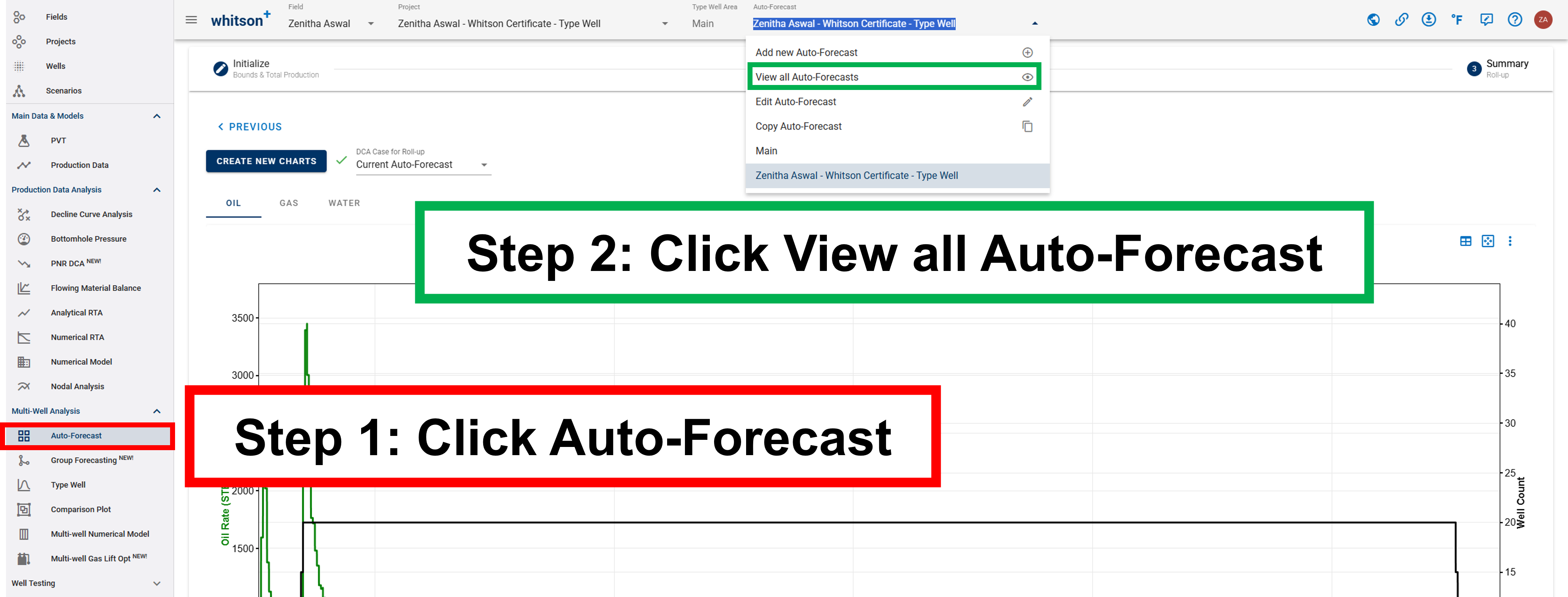 \label{view-auto-forecasts}