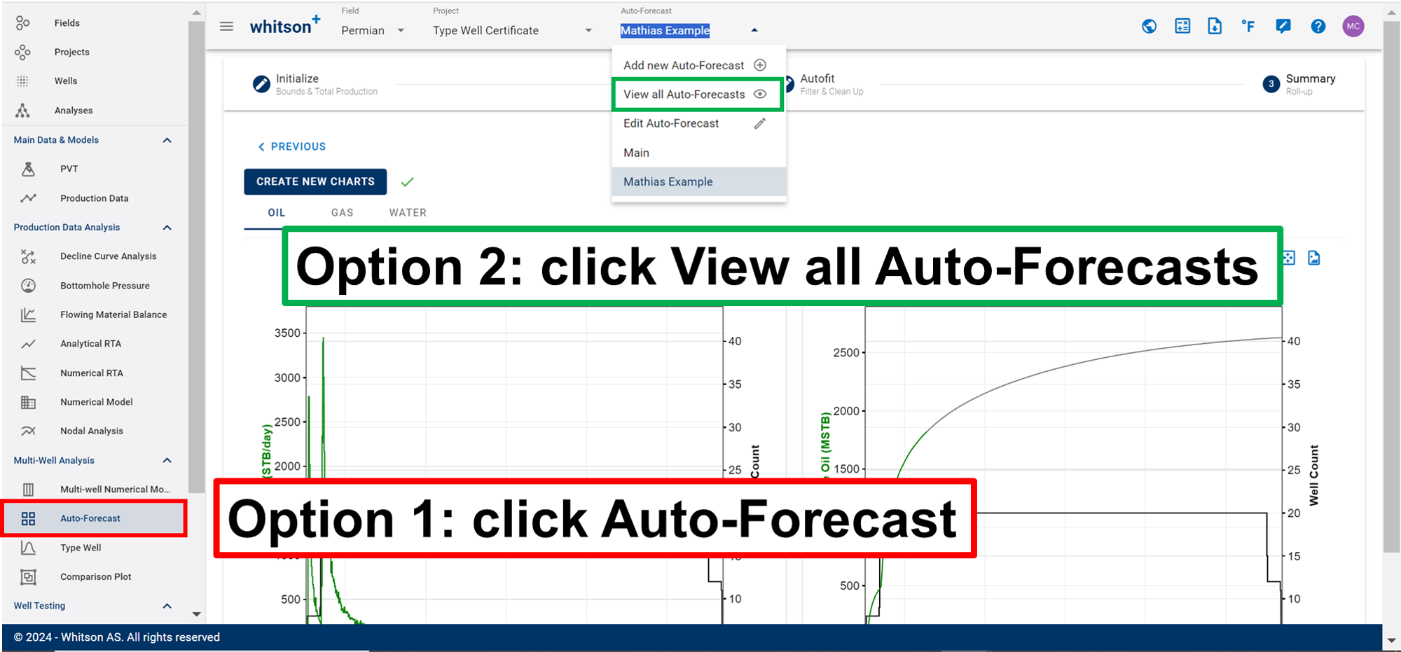 \label{view-auto-forecasts}